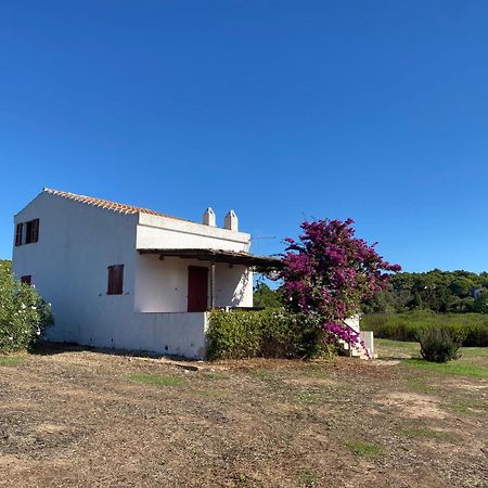 Casa Bianchi - Villa Immersa Nel Verde Carloforte  Exterior foto