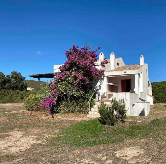 Casa Bianchi - Villa Immersa Nel Verde Carloforte  Exterior foto